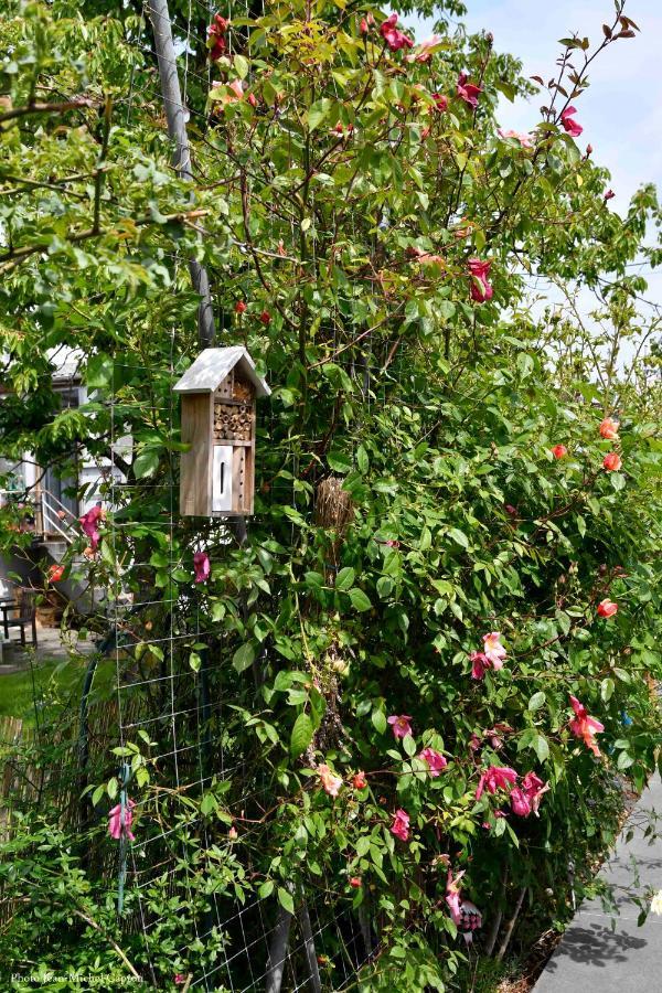 Bed and Breakfast Les Glycines Mauves Braine-lʼAlleud Exteriér fotografie